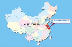公司在中國(guó)的位置
